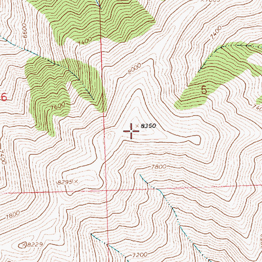 Topographic Map of Patterson Peak, ID