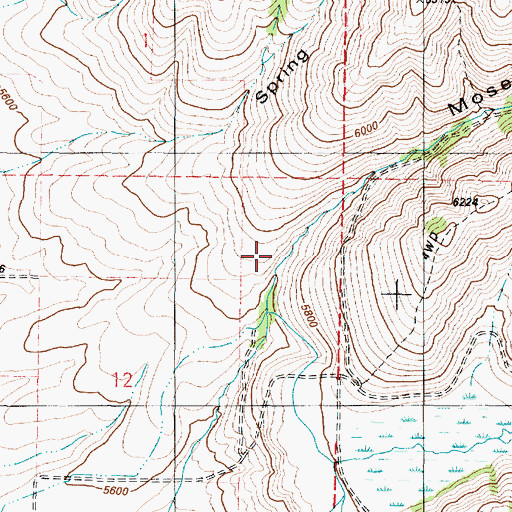 Topographic Map of Moses Canyon, ID