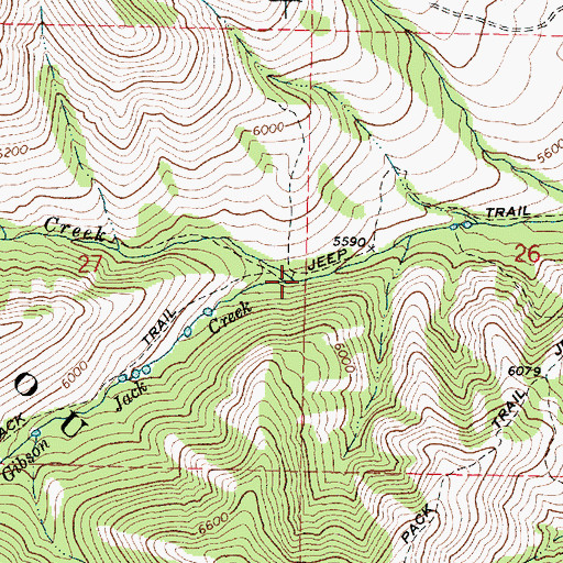 Topographic Map of South Fork Gibson Jack Creek, ID