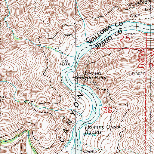 Topographic Map of Suicide Point, ID