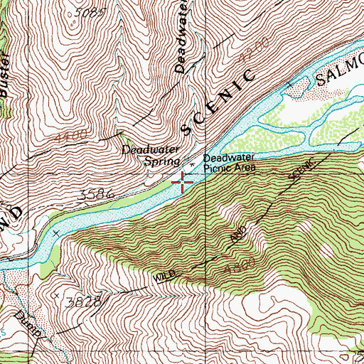 Topographic Map of Deadwater Picnic Area, ID