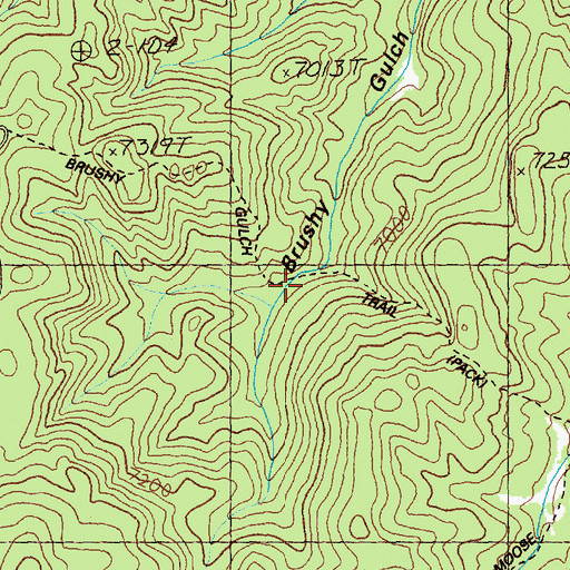 Topographic Map of Brushy Gulch Trail, ID