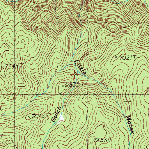 Topographic Map of Brushy Gulch, ID