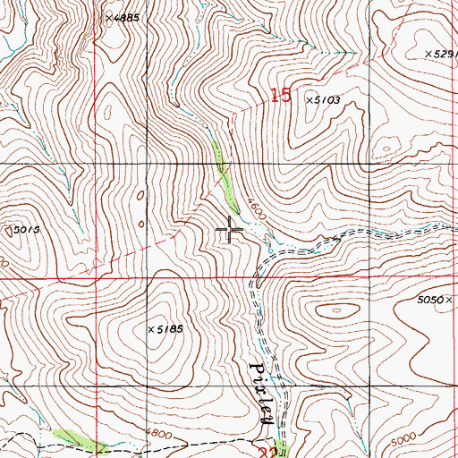 Topographic Map of East Fork Pixley Creek, ID