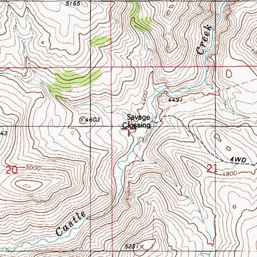 Topographic Map of Savage Crossing, ID