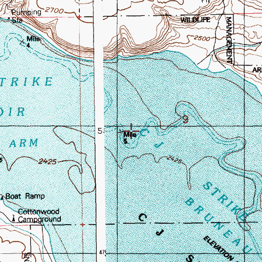 Topographic Map of Bruneau Arm, ID