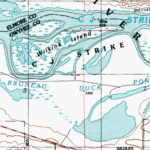 Topographic Map of Bruneau Duck Ponds, ID
