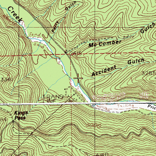 Topographic Map of Accident Gulch, ID