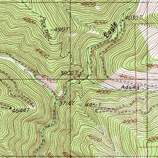 Topographic Map of Adams Creek, ID