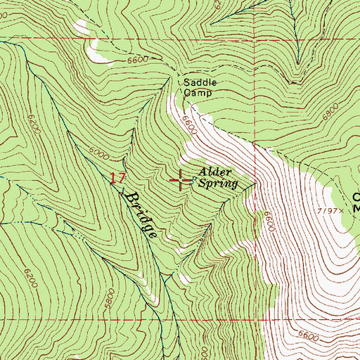 Topographic Map of Alder Spring, ID