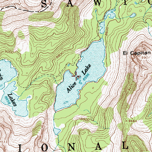 Topographic Map of Alice Lake, ID