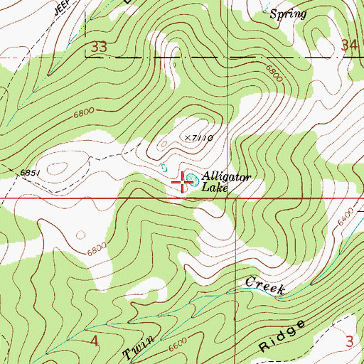 Topographic Map of Alligator Lake, ID