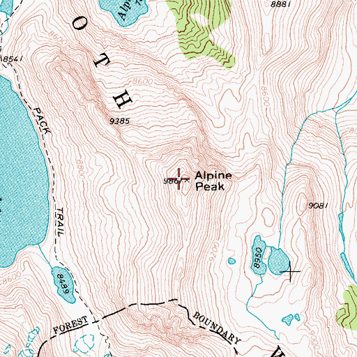 Topographic Map of Alpine Peak, ID