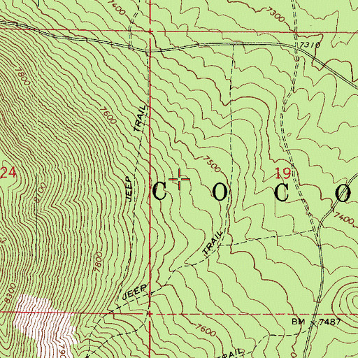 Topographic Map of Borrego Trick Tank, AZ