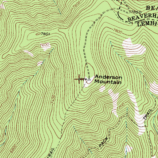 Topographic Map of Anderson Mountain, ID
