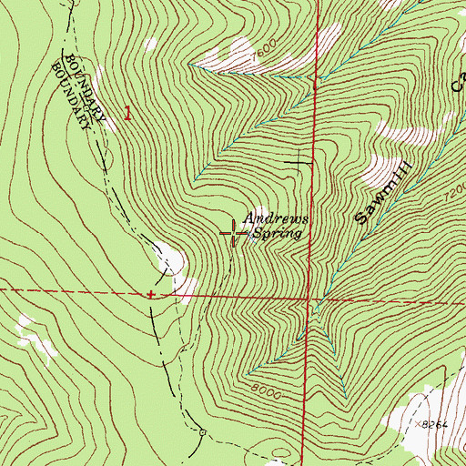 Topographic Map of Andrews Spring, ID