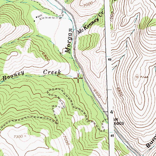 Topographic Map of Annie Rooney Creek, ID