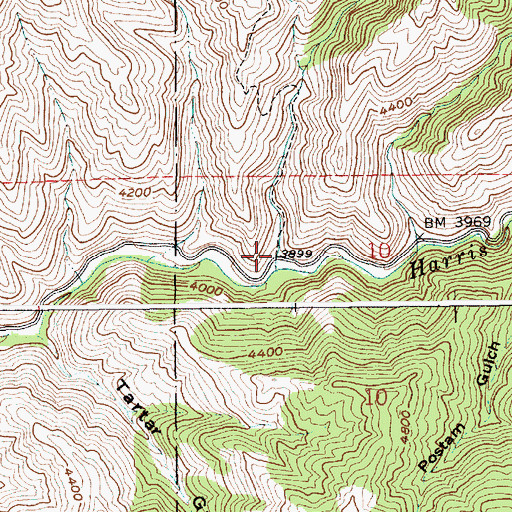 Topographic Map of Appletree Gulch, ID