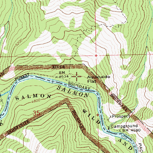 Topographic Map of Aquinaldo Flat, ID