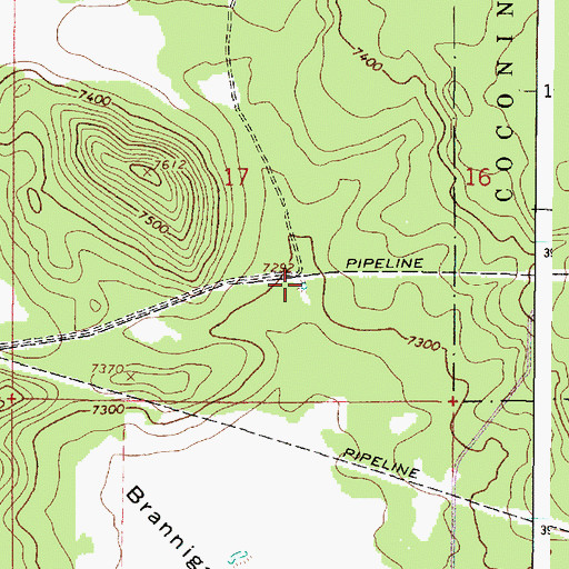 Topographic Map of Brannigan Tank, AZ