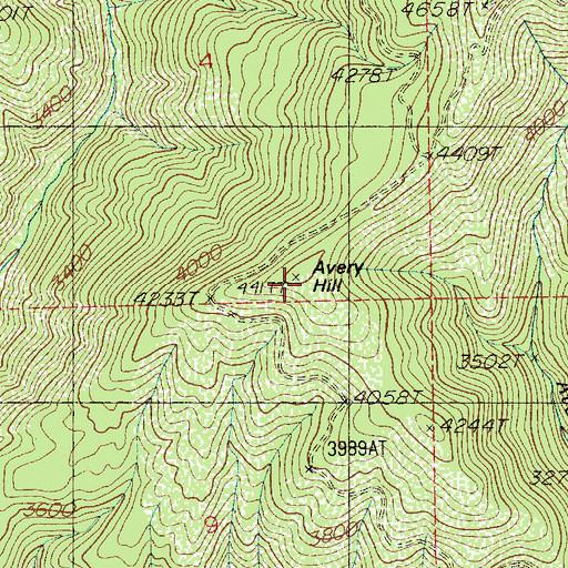 Topographic Map of Avery Hill, ID