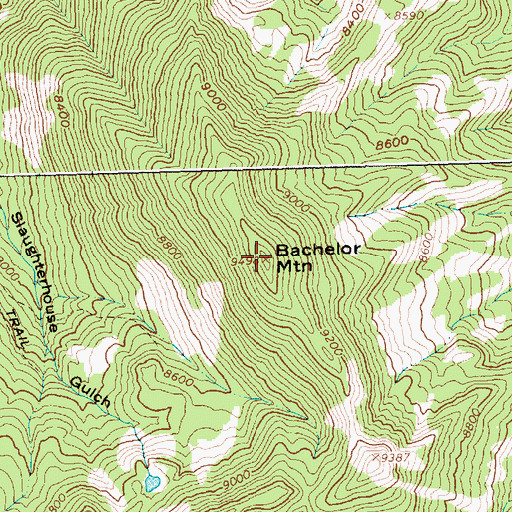 Topographic Map of Bachelor Mountain, ID