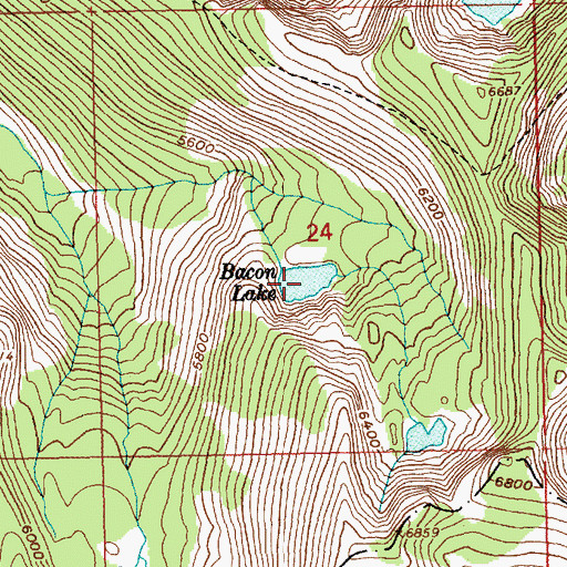 Topographic Map of Bacon Lake, ID