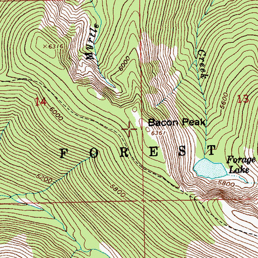 Topographic Map of Bacon Peak, ID