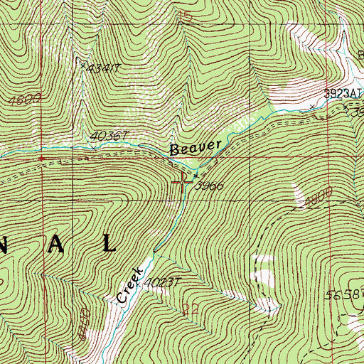 Topographic Map of Bad Bear Creek, ID