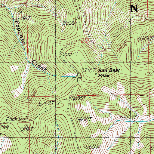 Topographic Map of Bad Bear Peak, ID