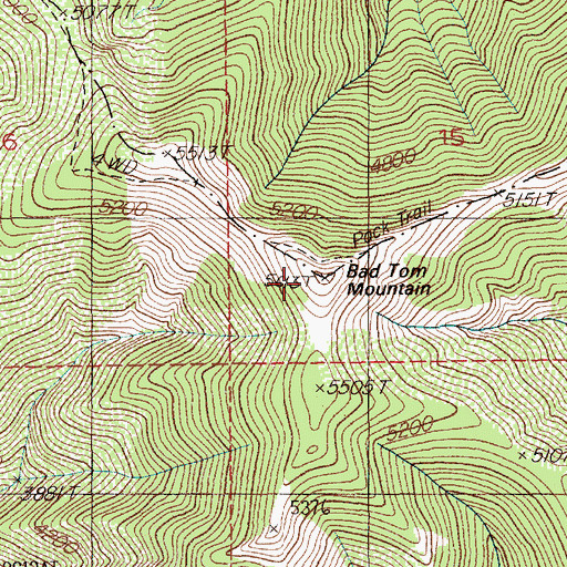 Topographic Map of Bad Tom Mountain, ID