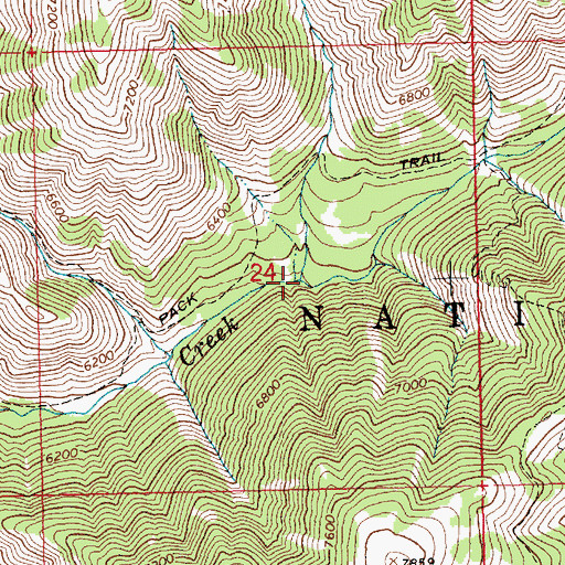 Topographic Map of Badger Creek, ID