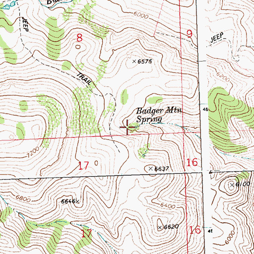 Topographic Map of Badger Mountain Spring, ID