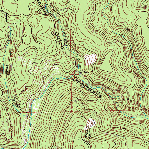 Topographic Map of Bailey Gulch, ID