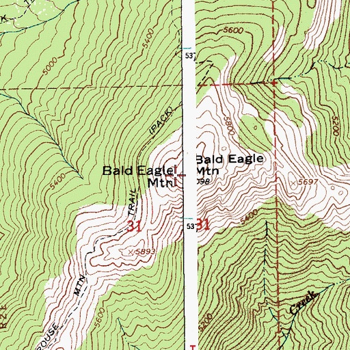 Topographic Map of Bald Eagle Mountain, ID