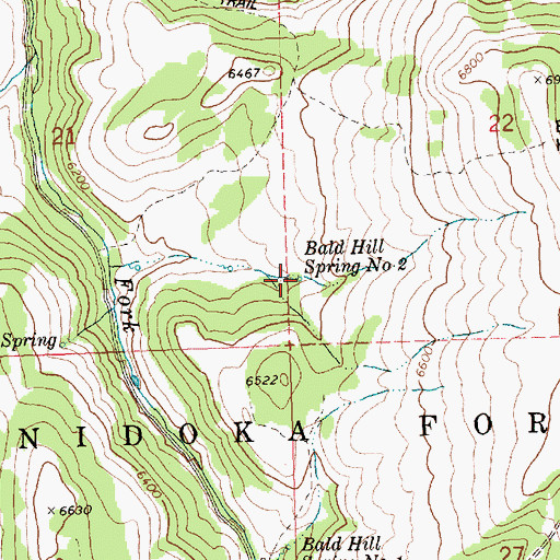 Topographic Map of Bald Hill Spring Number 2, ID