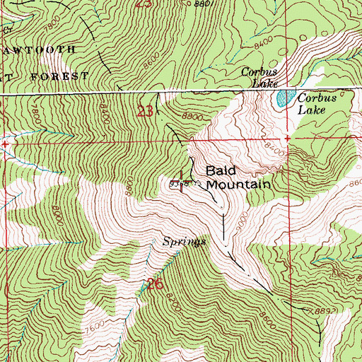 Topographic Map of Bald Mountain, ID