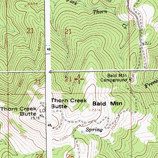 Topographic Map of Bald Mountain Campground, ID