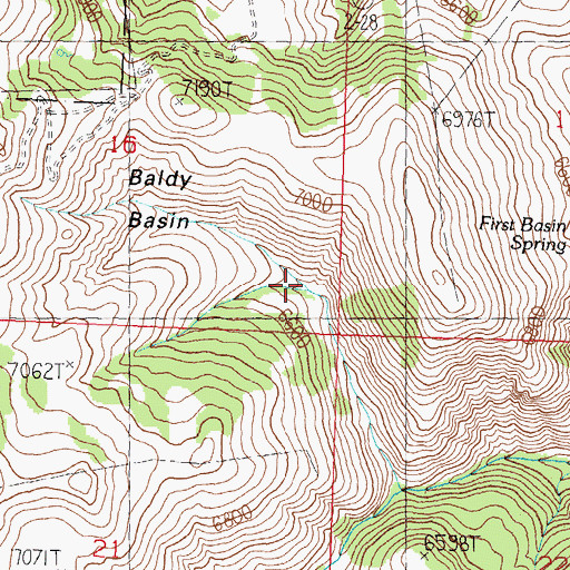Topographic Map of Baldy Basin, ID