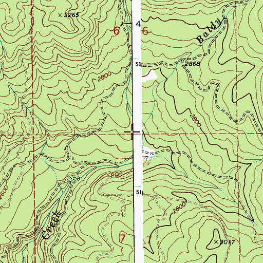 Topographic Map of Baldy Bear Creek, ID