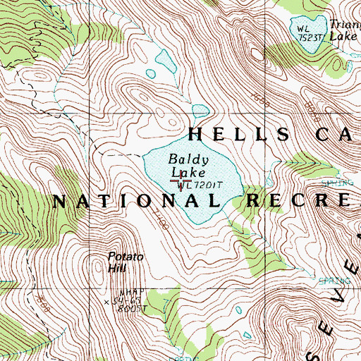 Topographic Map of Baldy Lake, ID