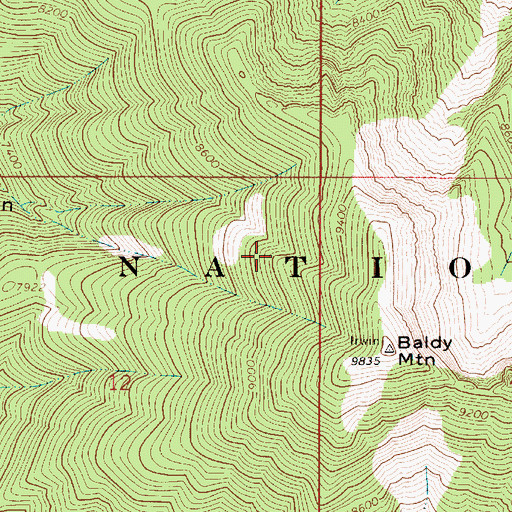 Topographic Map of Baldy Mountain, ID