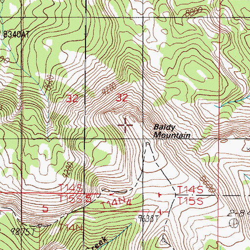 Topographic Map of Baldy Mountain, ID