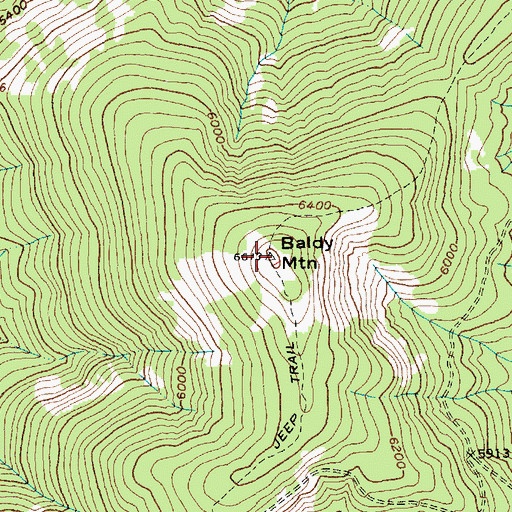 Topographic Map of Baldy Mountain, ID