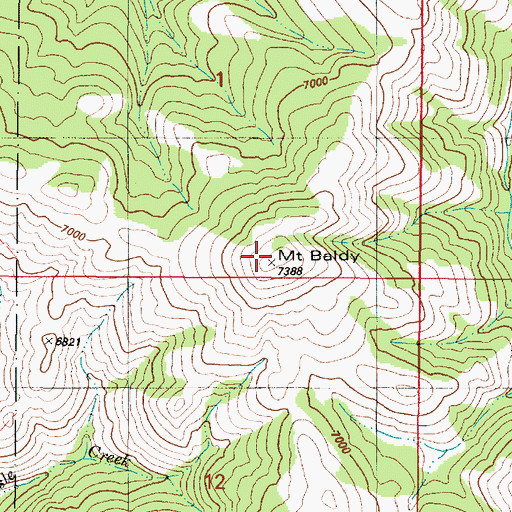 Topographic Map of Mount Baldy, ID