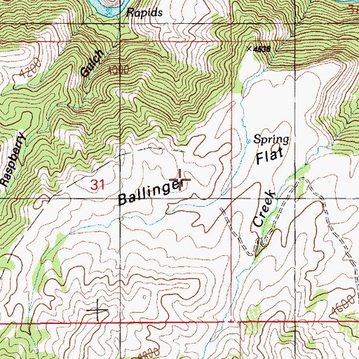 Topographic Map of Ballinger Flat, ID