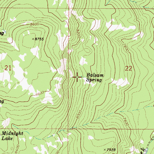 Topographic Map of Balsam Spring, ID