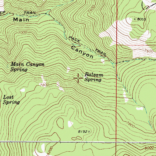 Topographic Map of Balsam Spring, ID