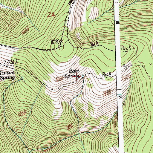 Topographic Map of Bare Spring, ID