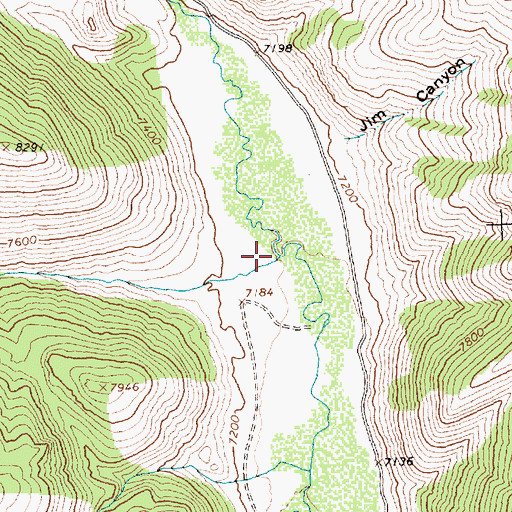 Topographic Map of Bartlett Creek, ID